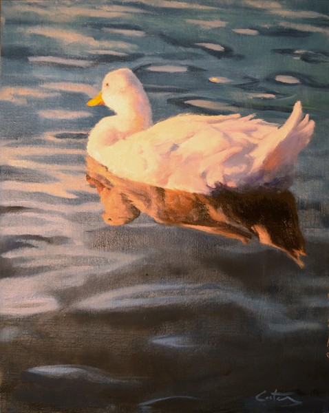 White Duck at Sunset
